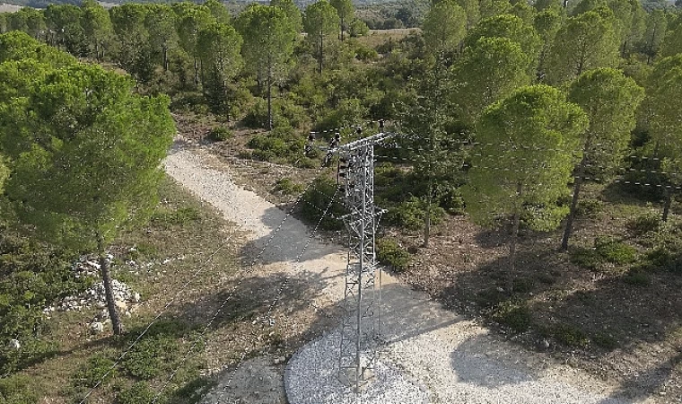 Toroslar EDAŞ’tan Orman Yangını Riskine Karşı Yeni Tedbir