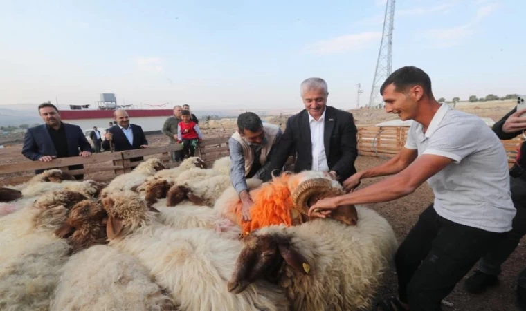 “Hayvancılığa desteğimiz sürecek”