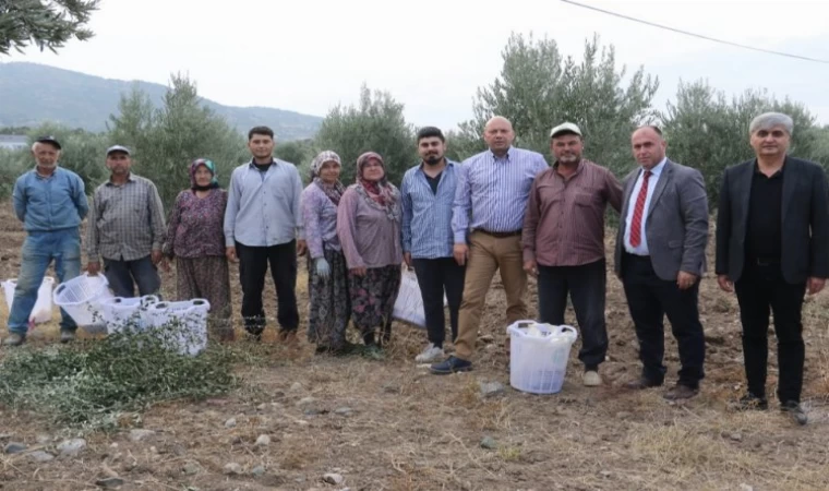 Manisalı üreticilere Büyükşehir desteği Saruhanlı’da sürdü