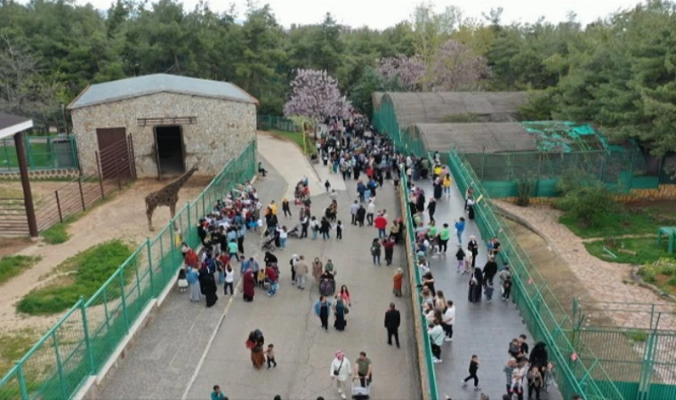 Gaziantep Doğal Yaşam Parkı'na ziyaretçi akını