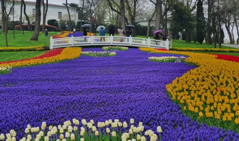 İstanbul’da lale bayramı başlıyor